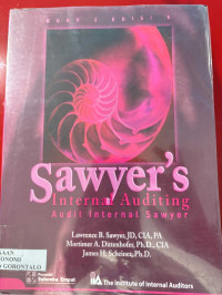 Image of Buku 2 Sawyer'S Internal Auditing